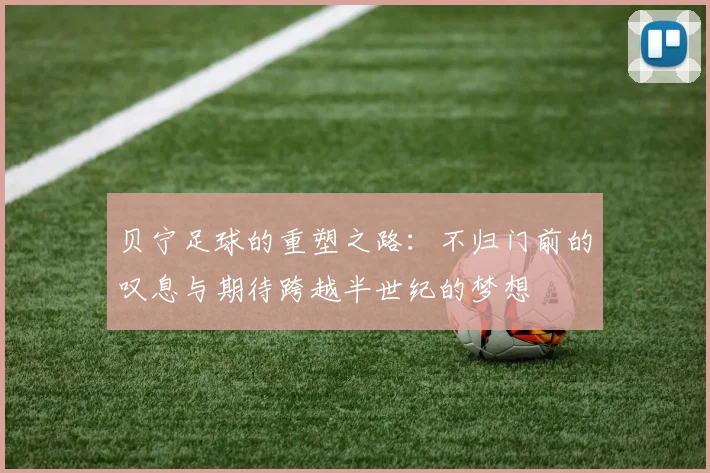 贝宁足球的重塑之路：不归门前的叹息与期待跨越半世纪的梦想